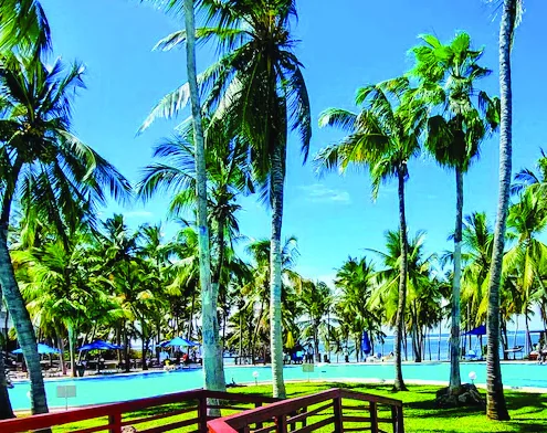 Palm trees above the resort pool at the PrideInn Flamingo Beach Resort & Spa in Mombasa
